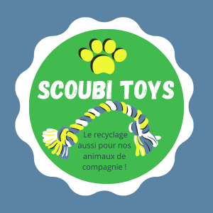 Copie de Logo Scoubi Toys (600 × 600 px)